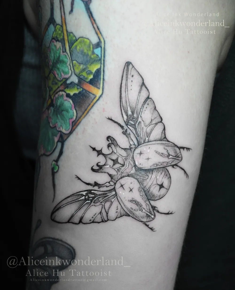 Fine-line beetle tattoo with hidden bone details, flash piece by Alice Ink Wonderland